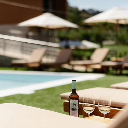 Serpa Pinto Full Village - Private Pool - By Fero * Cinfães
